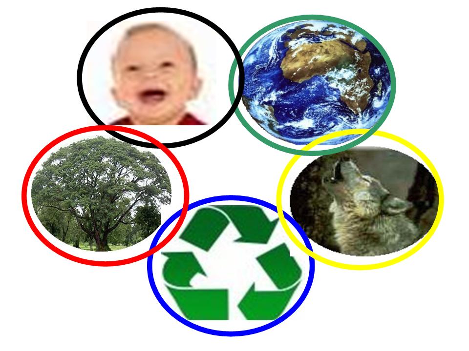 logo essai kad rapide.jpg